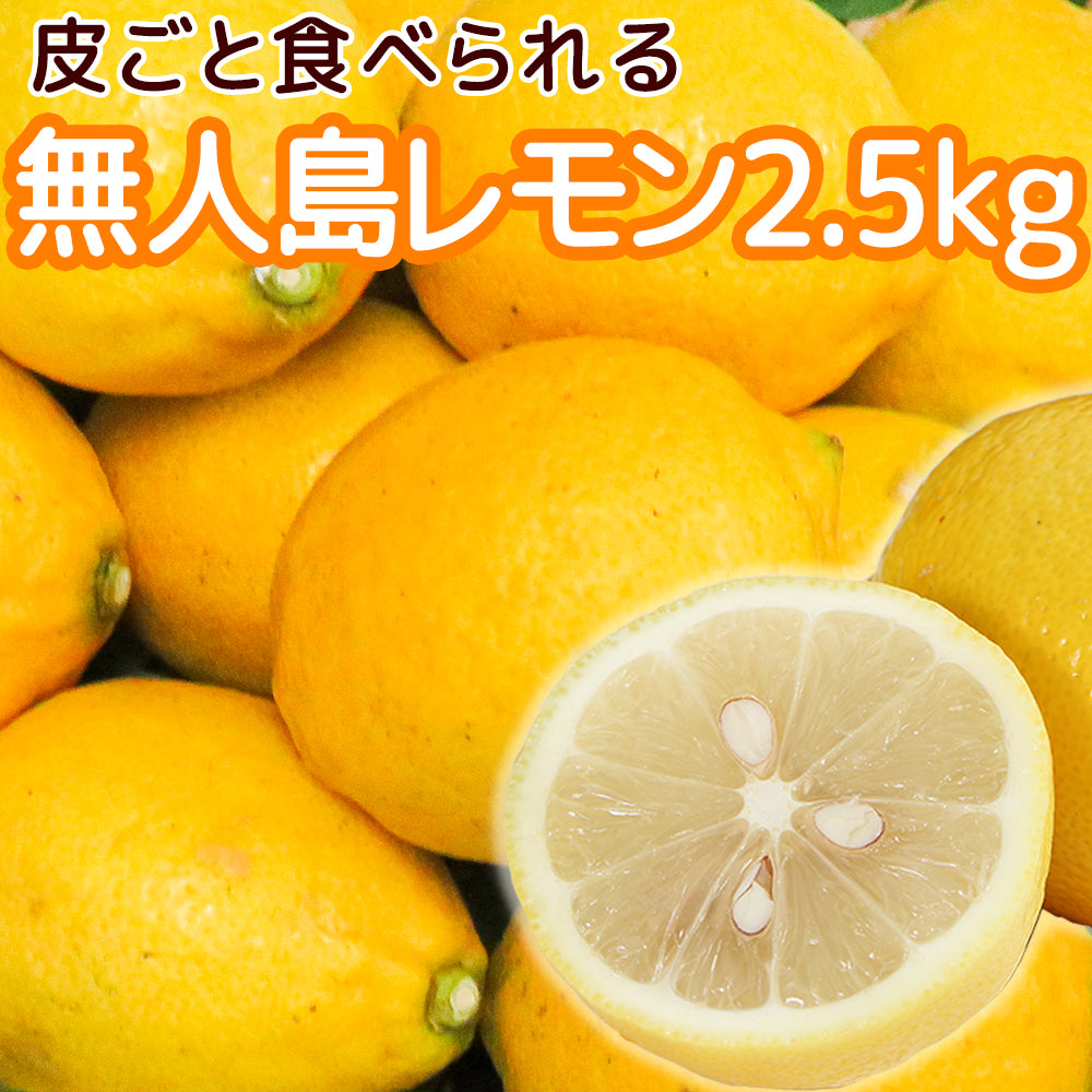 国産レモン 約2.5kg - 果物