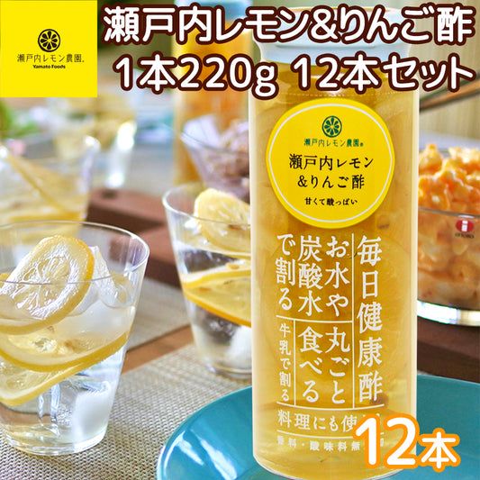 ヤマトフーズ 瀬戸内レモン＆りんご酢 220g １２本セット 広島県産 レモン使用 化学調味料無添加