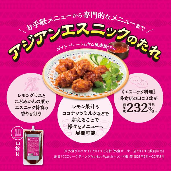 業務用 アジアンエスニックのたれ 1袋500g 口栓付き 2袋セット 作り方レシピ入ってます 送料込み 簡単調理 炒める、和える、かける など