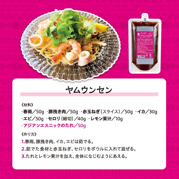 業務用 アジアンエスニックのたれ 1袋500g 口栓付き 2袋セット 作り方レシピ入ってます 送料込み 簡単調理 炒める、和える、かける など