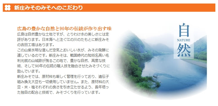 即席 あごだし入り みそ汁 3食用 3袋セット 新庄みそ 即席タイプ 送料