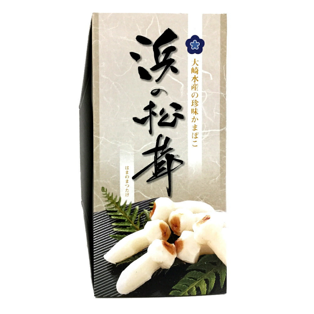 大崎水産 珍味蒲鉾 浜の松茸 10粒入り×10 2箱セット ザ・広島ブランド