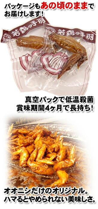オオニシ 尾道の駄菓子 若鶏手羽先 ブロイラー ガーリック風味 10本セット