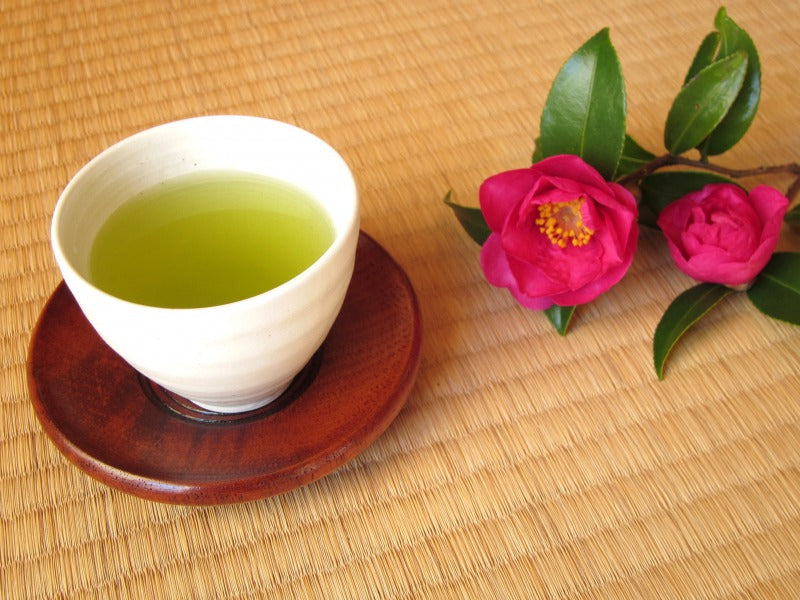 お茶の原寿園 壺切茶(つぼきりちゃ) 宇治蔵開け 煎茶 100g 2袋セット