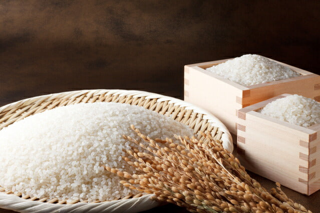 あきろまん 無洗米 5kg 広島県産 食協 お米 - 米,ごはん